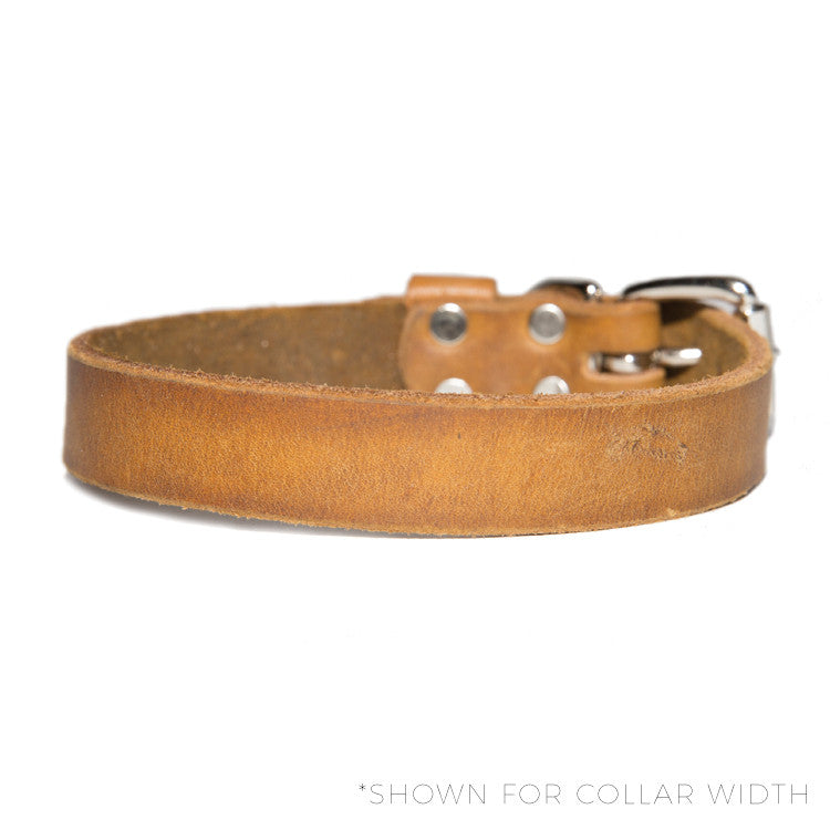 HC Signature - 3/4" Straight Collars