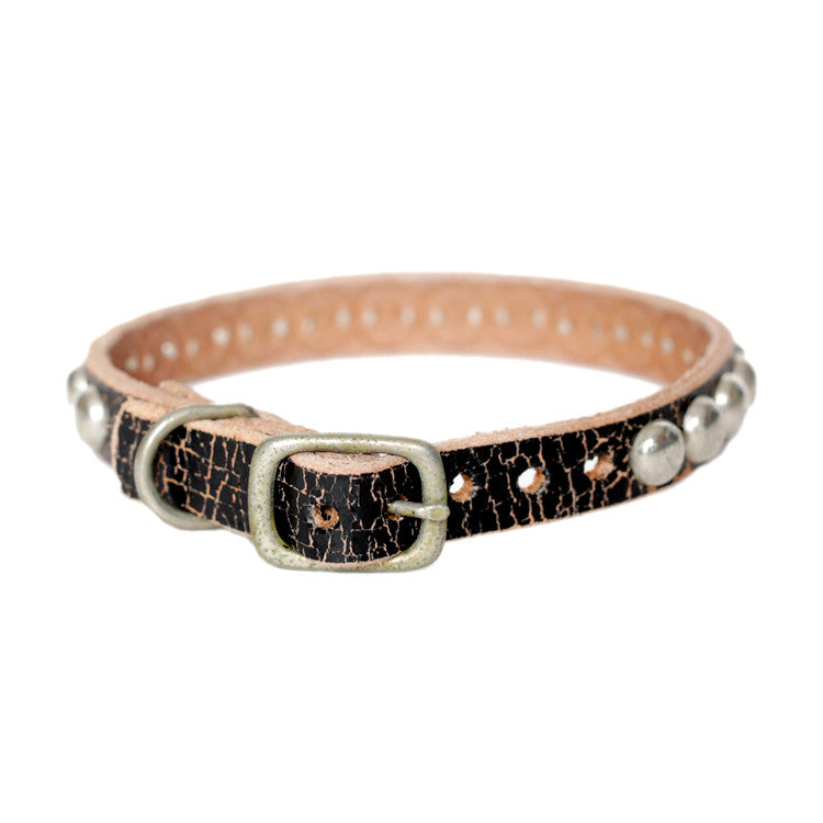 Studded 1/2" Collar - S05003