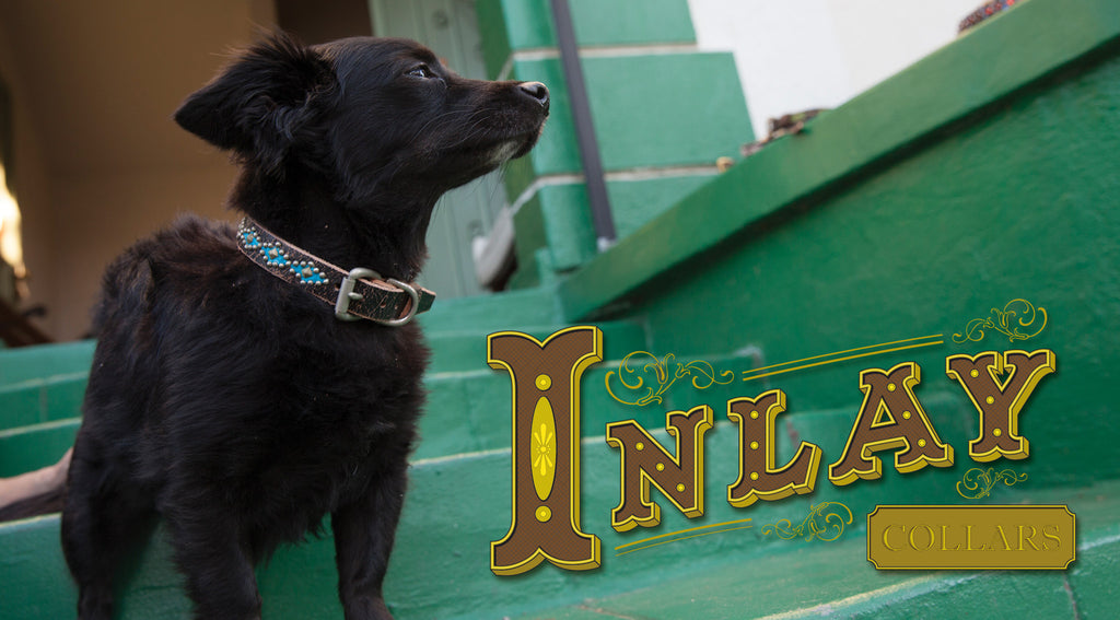 Inlay