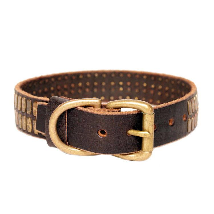 Studded 1" Collar - S10003