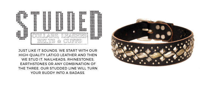 Hollywood Collars